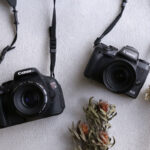 一眼レフとミラーレス一眼カメラ