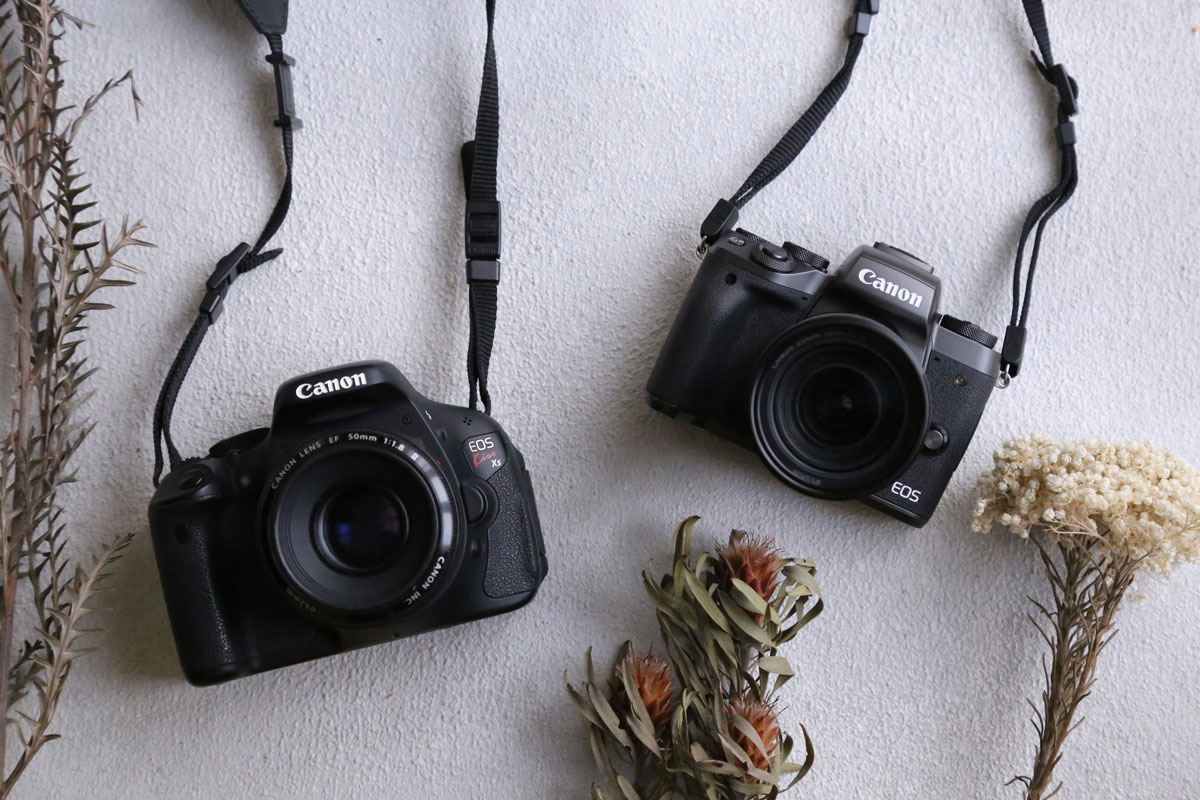 一眼レフとミラーレスの違いってなに？